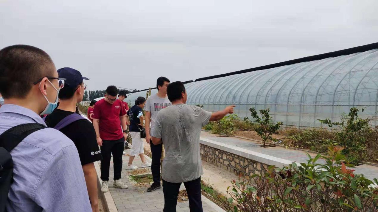 1627642456548847.jpg 1627642456548847.jpg